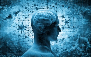 Não bộ hoạt động thế nào và làm sao cải thiện chức năng não bộ?