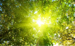 Nắng nóng bao trùm khắp cả nước dịp nghỉ lễ