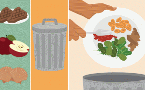 Lãng phí thực phẩm và những con số biết nói