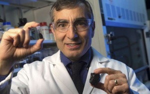 Than đá có tiềm năng chống oxy hóa mạnh