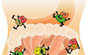 Vai trò của men vi sinh với hệ tiêu hóa, hệ miễn dịch và não bộ của trẻ