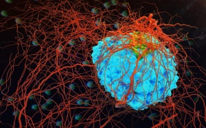 Phát hiện mới về cách ngặn chặn tế bào ung thư di căn