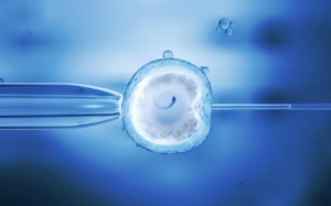 Thụ tinh trong ống nghiệm có thể khiến người mẹ bị suy tim!