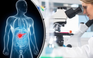 Thuốc mới giúp kéo dài sự sống cho người ung thư tuyến tụy di căn