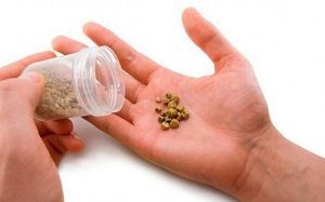 Sỏi mật có nguy hiểm không, có gây ra biến chứng gì không?