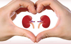 10 cách giúp bảo vệ và tăng cường chức năng thận