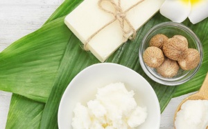 Bơ hạt mỡ và 6 lợi ích chăm sóc da không nên bỏ qua