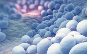 Tại sao nên chú ý nấm men Saccharomyces boulardii khi chọn men vi sinh cho trẻ?