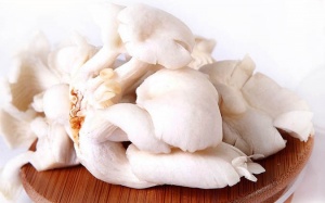 Loại nấm bình dân vài chục nghìn mỗi kg có thể phòng chống bệnh lao chết người