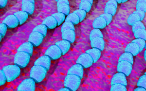 Probiotics có lợi gì với sức khỏe con người?