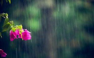 Bắc Bộ mưa dông, Trung Bộ tiếp tục nắng nóng