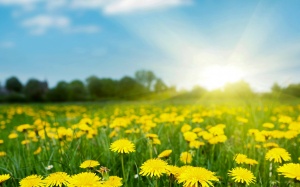 Nắng nóng ở Bắc Bộ còn kéo dài trong 3 ngày tới