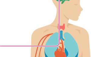 Bệnh nhân đái tháo đường cũng bị hạ đường huyết, đừng coi thường!