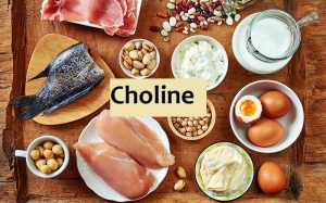 Lợi ích của choline với sức khỏe bạn không thể bỏ qua