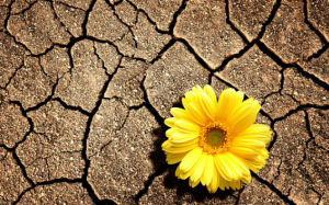 Bị đau và khô âm đạo: Nên làm gì để khắc phục và ngăn ngừa?