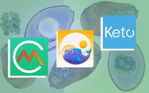 Những thực phẩm cần có khi ăn kiêng Keto