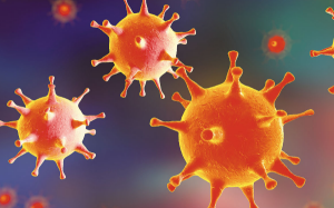 'Vòng đời' của virus cảm lạnh, cúm trong cơ thể con người