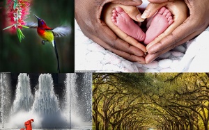 Nhiếp ảnh gia Việt Nam đoạt giải Nhất cuộc thi ảnh quốc tế AGORA 2019