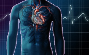 Tăng áp động mạch phổi là bệnh gì?