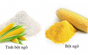 Bột ngô và tinh bột ngô có gì khác biệt?