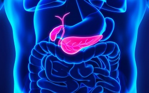 Làm sao để phát hiện sớm ung thư tuyến tụy?