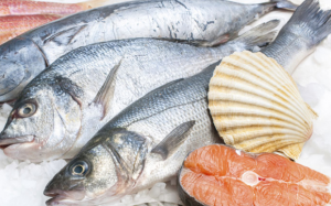 Danh sách các loại cá và thủy hải sản có hàm lượng thủy ngân cao nhất, thấp nhất