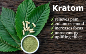 FDA cảnh báo về sản phẩm thảo dược giảm đau Kratom