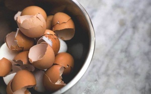 Vỏ trứng nghiền có thể giúp sửa chữa xương bị tổn thương