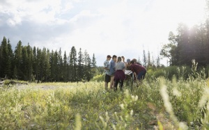 Mùa Hè, cần cẩn thận với 4 loài côn trùng có thể gây bệnh!