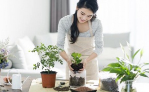 Với tình yêu cây cỏ, thế hệ trẻ sẽ ngày càng sống khỏe hơn