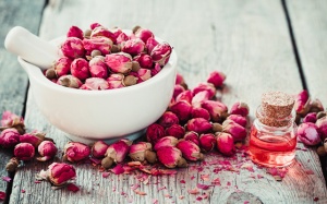 Tinh dầu hoa hồng giúp chống lão hóa và nhiều lợi ích khác