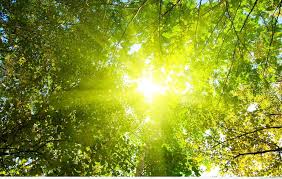 Bắc Bộ ngày nắng nóng, chiều tối có thể mưa dông