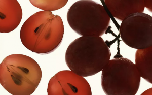 Chiết xuất hạt nho có thể đẩy lùi ung thư và phòng ngừa nhiều bệnh