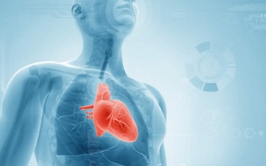 Thiếu máu cơ tim là gì, có triệu chứng gì cảnh báo?