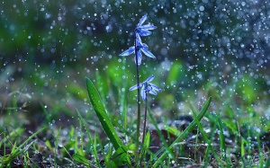 Thời tiết Bắc Bộ những ngày cuối tháng 7 và đầu tháng 8 như thế nào? 