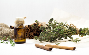 Nên dùng tinh dầu nào để diệt trừ vi khuẩn? 