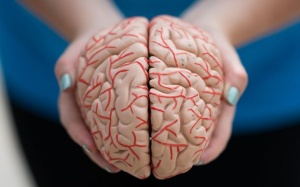 Xét nghiệm máu giúp phát hiện bệnh Alzheimer trước 20 năm