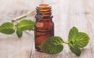 13 cách dùng tinh dầu bạc hà để giảm đau đầu, tăng năng lượng