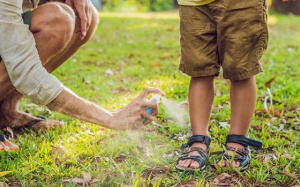 6 mẹo đơn giản giúp xua đuổi côn trùng tại nhà