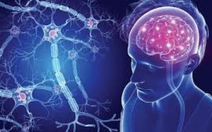 Bệnh đa xơ cứng ảnh hưởng đến cơ thể như thế nào? 