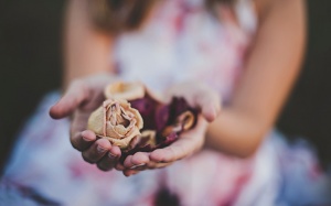 8 thảo dược là 'khắc tinh' của hội chứng tiền kinh nguyệt