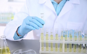 Đường huyết cao nhưng nước tiểu không có đường, liệu đã mắc đái tháo đường chưa?