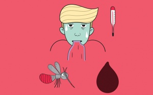 Viêm não do sốt xuất huyết: Hiếm gặp nhưng nguy hiểm tính mạng