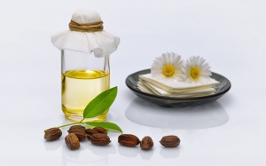 Dầu jojoba - bí quyết chăm sóc da dịu dàng mà mọi cô gái cần phải biết