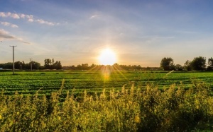 Nắng nóng sắp kết thúc ở Bắc Bộ