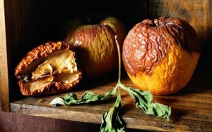 Video: Thực phẩm hết hạn, đâu là cách nhận biết?