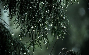 Bắc Bộ mưa dông, thời tiết mát mẻ