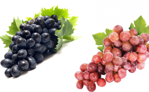 Ăn nho đen hay nho đỏ mang lại nhiều lợi ích sức khỏe?