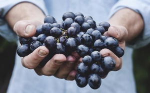 Người bệnh đái tháo đường có ăn nho được không?