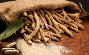 Sâm Ấn Độ và những lợi ích tuyệt vời cho não bộ